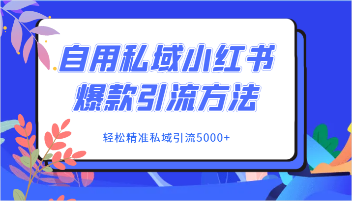 自用私域小红书爆款引流方法，轻松精准私域引流5000+-夜影资源