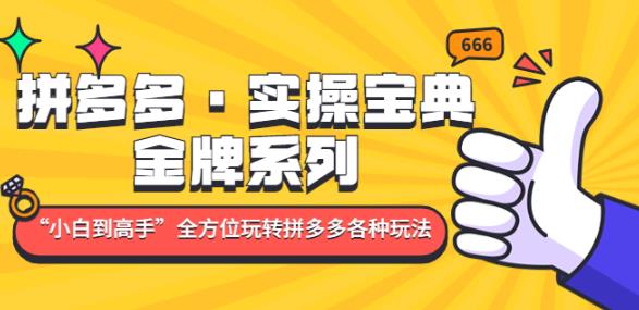 拼多多·实操宝典：金牌系列“小白到高手”带你全方位玩转拼多多各种玩法-夜影资源