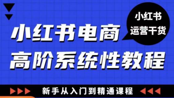 小红书电商高阶系统教程，新手从入门到精通系统课-夜影资源