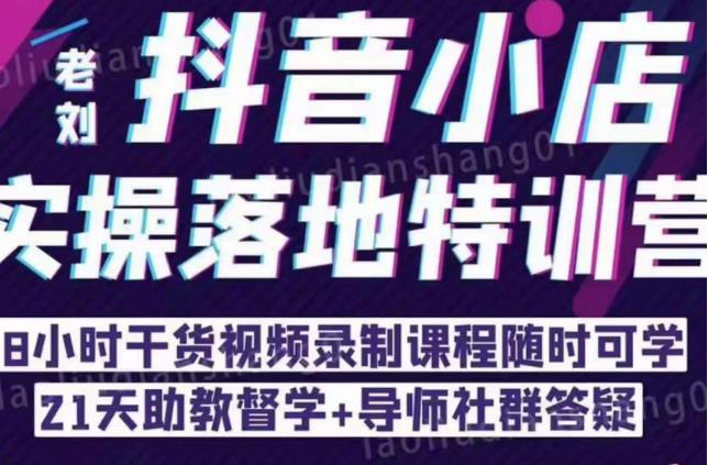 抖音小店实操落地特训营：抖音小店无货源精细化运营，抖店商品卡流量（22节）-夜影资源