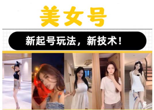2023抖音快手短视频美女号课程制作玩法教程，美女号搬运新起号玩法，新技术（素材+教程）-夜影资源