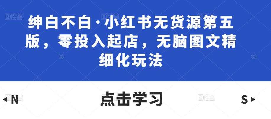 绅白不白·小红书无货源第五版，零投入起店，无脑图文精细化玩法-夜影资源