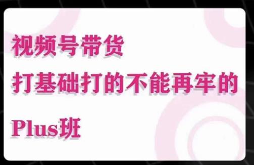 大播汇·视频号带货Puls班，视频号底层逻辑，起号自然流鱼塘等玩法-夜影资源