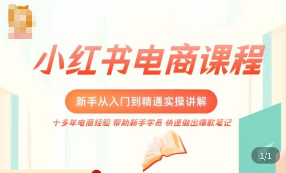 小红书电商新手入门到精通实操课，从入门到精通做爆款笔记，开店运营-夜影资源