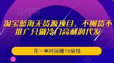 淘宝蓝海无货源项目，不囤货不推广只做冷门高利润代发，花一半时间赚10倍钱-夜影资源