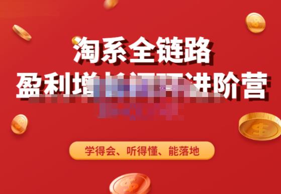 淘系全链路盈利增长闭环进阶营，融合全店动销，学得会、听得懂、能落地！-夜影资源