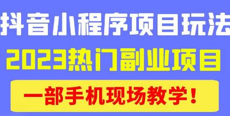 抖音小程序9.0新技巧，2023热门副业项目，动动手指轻松变现-夜影资源