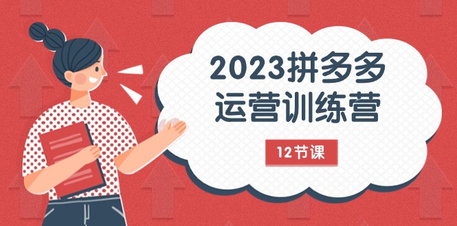 2023拼多多运营训练营：流量底层逻辑，免费+付费流量玩法（12节课）-夜影资源