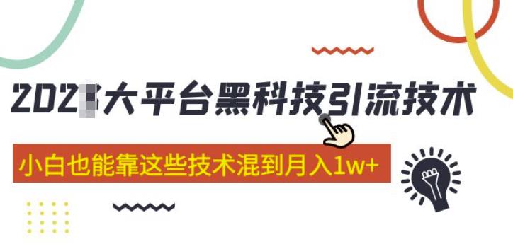 大平台黑科技引流技术，小白也能靠这些技术混到月入1w+(2022年的课程）-夜影资源