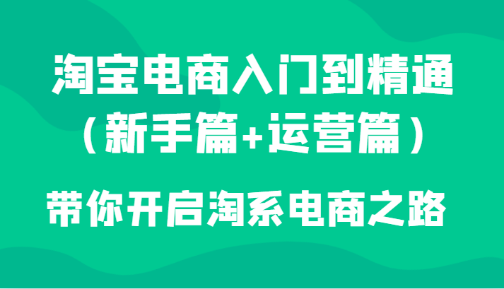 淘宝电商入门到精通（新手篇+运营篇）带你开启淘系电商之路-夜影资源