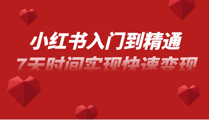 小红书入门到精通课，无货源电商实操运营，7天时间实现快速变现-夜影资源