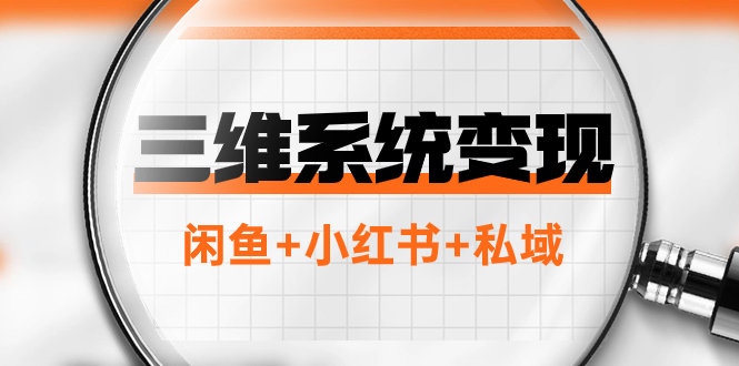 （7898期）三维系统变现项目：普通人首选-年入百万的翻身项目，闲鱼+小红书+私域-夜影资源