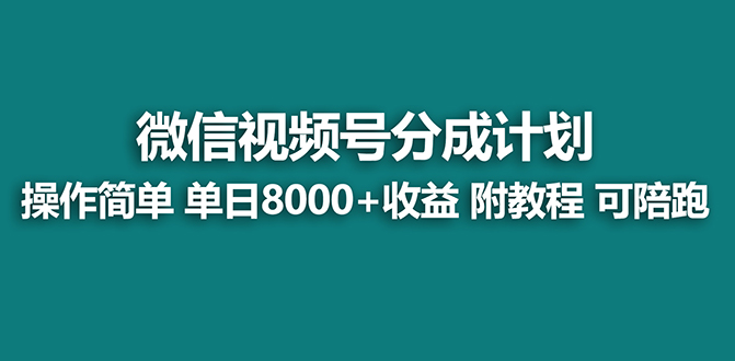 （7904期）【蓝海项目】视频号分成计划，单天收益8000+，附玩法教程！可陪跑-夜影资源
