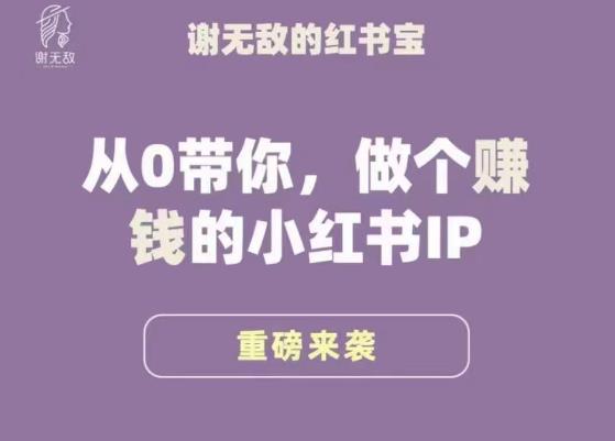 谢无敌·小红书运营大宝典，从0带你做个赚钱的小红书IP-夜影资源