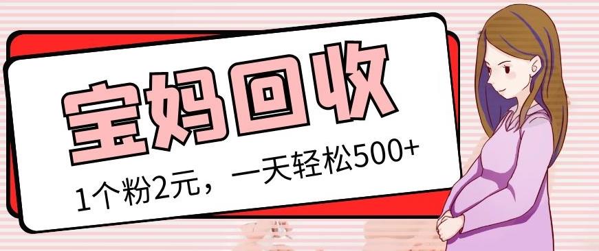最新宝妈粉回收变现计划及胎教音乐高端变现玩法全套教程！（非老玩法）-夜影资源