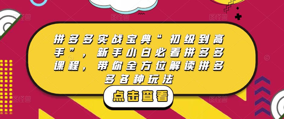 拼多多实战宝典“初级到高手”，新手小白必看拼多多课程，带你全方位解读拼多多各种玩法-夜影资源