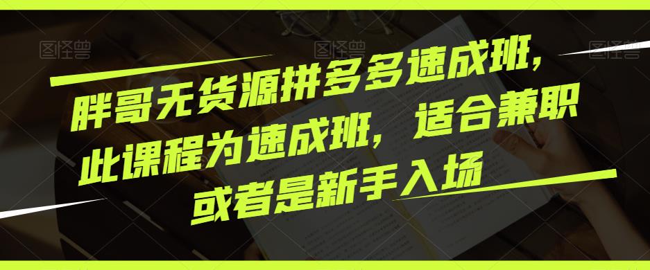 胖哥无货源拼多多速成班，此课程为速成班，适合兼职或者是新手入场-夜影资源