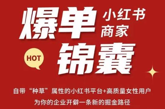无畏·小红书商家爆单锦囊，掌握小红书各大规则，快速精准抢占行业和市场-夜影资源