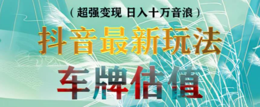 抖音最新无人直播变现直播车牌估值玩法项目，轻松日赚几百+【详细玩法教程】-夜影资源