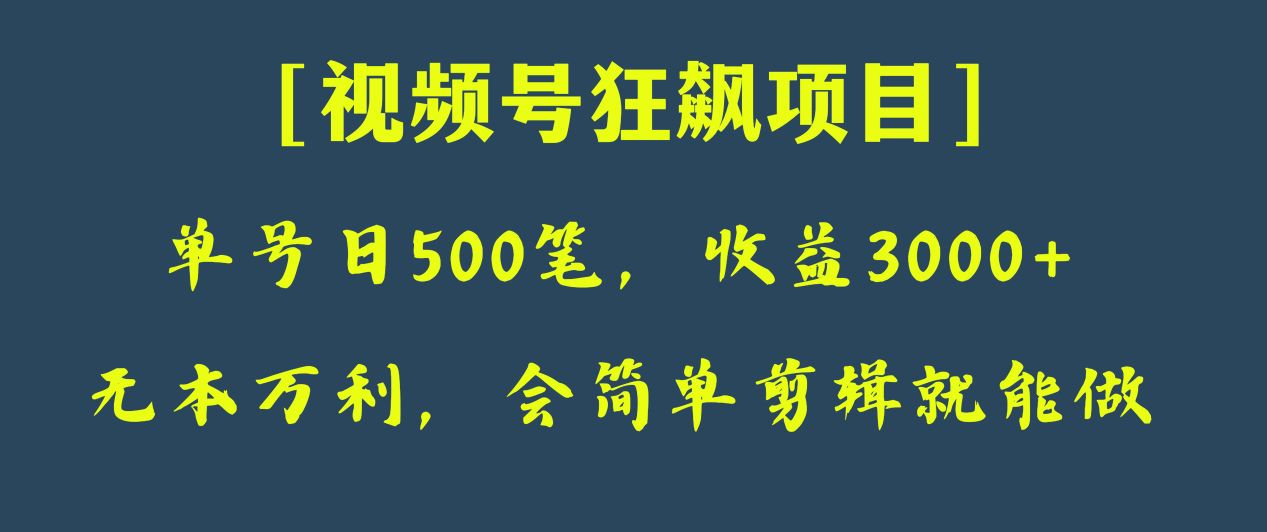 日收款500笔，纯利润3000+，视频号狂飙项目！-夜影资源