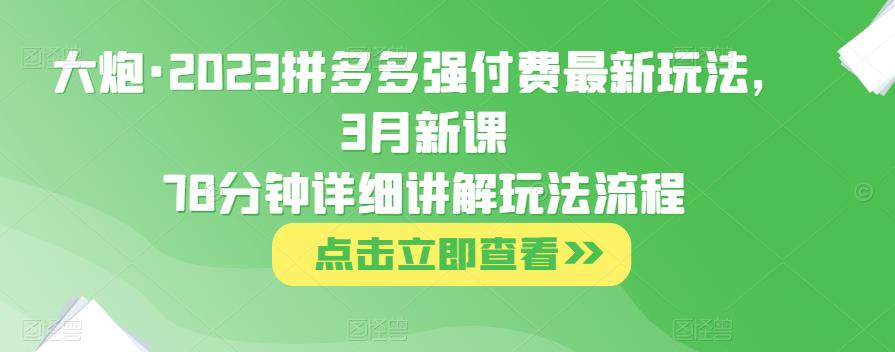 大炮·2023拼多多强付费最新玩法，3月新课​78分钟详细讲解玩法流程-夜影资源