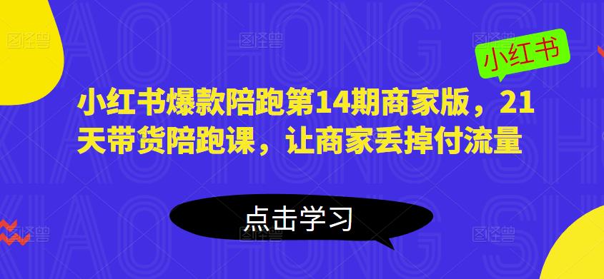 小红书爆款陪跑第14期商家版，21天带货陪跑课，让商家丢掉付流量-夜影资源