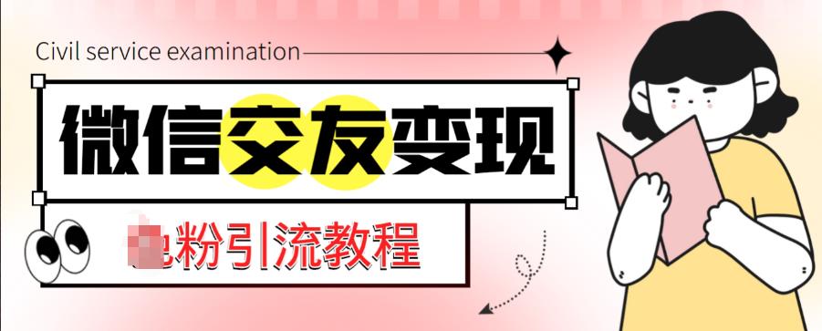 微信交友变现项目，吸引全网LSP男粉精准变现，小白也能轻松上手，日入500+-夜影资源