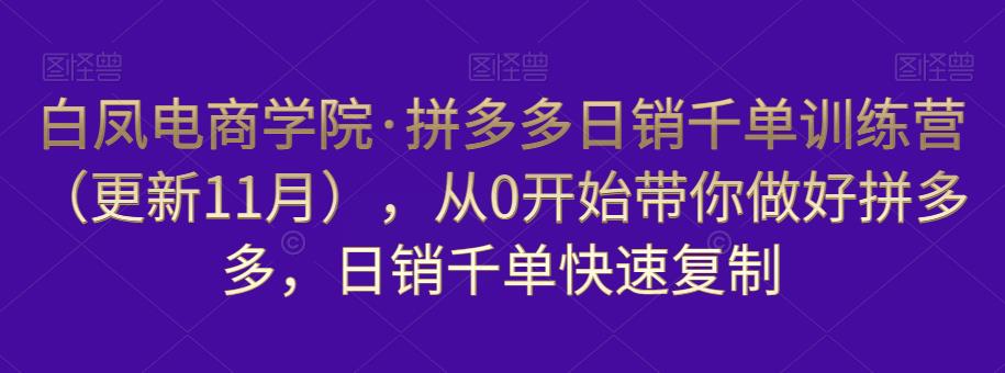白凤电商学院·拼多多日销千单训练营，从0开始带你做好拼多多，日销千单快速复制（更新知2023年3月）-夜影资源