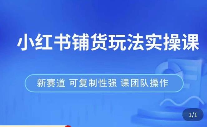 小红书铺货玩法实操课，流量大，竞争小，非常好做，新赛道，可复制性强，可团队操作-夜影资源