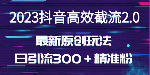 日引300＋创业粉，独家抖音高效截流2.0玩法（价值1280）-夜影资源