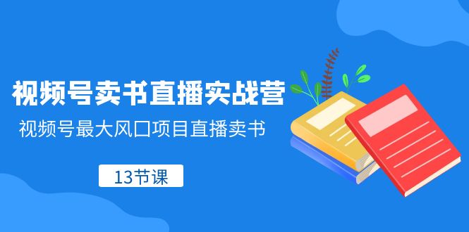 视频号卖书直播实战营，视频号最大风囗项目直播卖书（13节课）-夜影资源