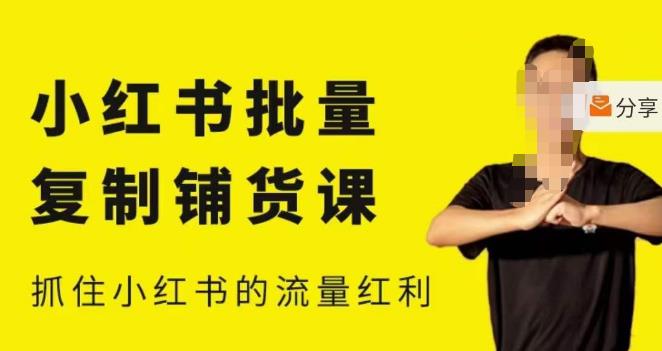 张宾·小红书批量复制铺货课，小红书0-1快速起号变现玩法，抓住小红书的流量红利（更新2023年3月）-夜影资源