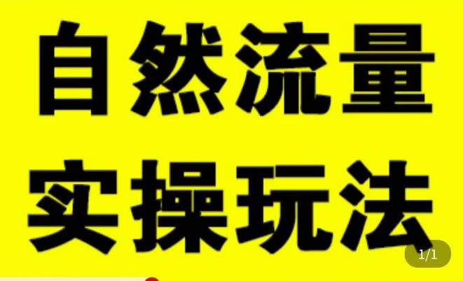 拼多多自然流量天花板，拼多多自然流的实操玩法，自然流量是怎么来的，如何开车带来自然流等知识-夜影资源