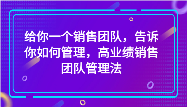 给你一个销售团队，告诉你如何管理，高业绩销售团队管理法（89节课）-夜影资源