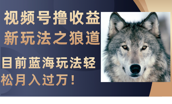 （8042期）视频号撸收益新玩法之狼道，目前蓝海玩法轻松月入过万！-夜影资源