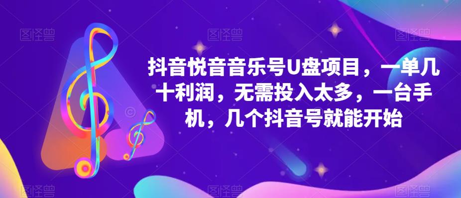 抖音音乐号U盘项目，一单几十利润，无需投入太多，一台手机，几个抖音号就能开始-夜影资源
