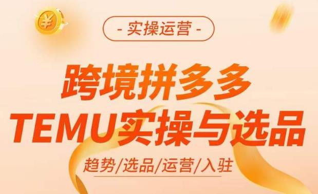 跨境拼多多TEMU实操与选品，​掌握平台运营方法技巧，选品避坑12条标准，爆款的底层思路等-夜影资源