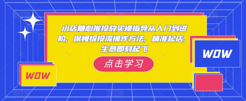 小店随心推投放实操指导从入门到进阶，保姆级投流操作方法，精准起店，生意即刻起飞-夜影资源