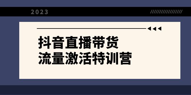 抖音直播带货-流量激活特训营，入行新手小白主播必学（21节课+资料）-夜影资源