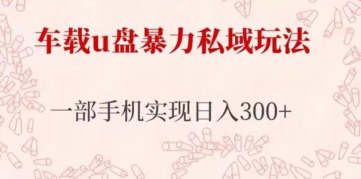 车载u盘暴力私域玩法，长期项目，仅需一部手机实现日入300+-夜影资源