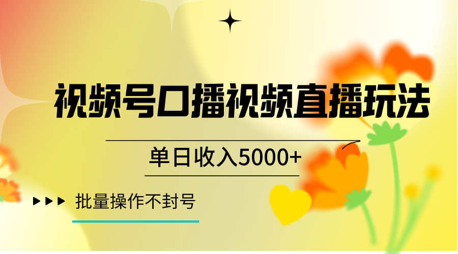 视频号口播视频直播玩法单日收入5000+，一种可以单号持续操作的玩法-夜影资源