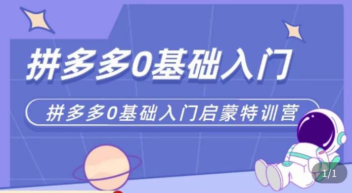 六一电商·拼多多运营0-1实操特训营，拼多多从基础到进阶的可实操玩法-夜影资源