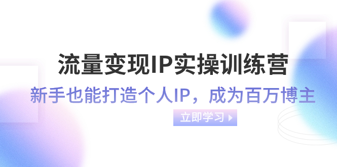（8134期）流量变现-IP实操训练营：新手也能打造个人IP，成为百万 博主（46节课）-夜影资源