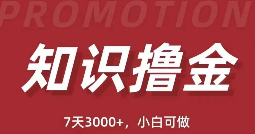 抖音知识撸金项目：简单粗暴日入1000+执行力强当天见收益(教程+资料)-夜影资源