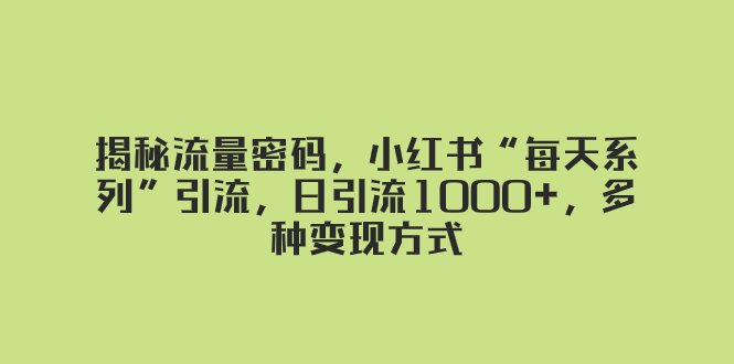 （8179期）揭秘流量密码，小红书“每天系列”引流，日引流1000+，多种变现方式-夜影资源