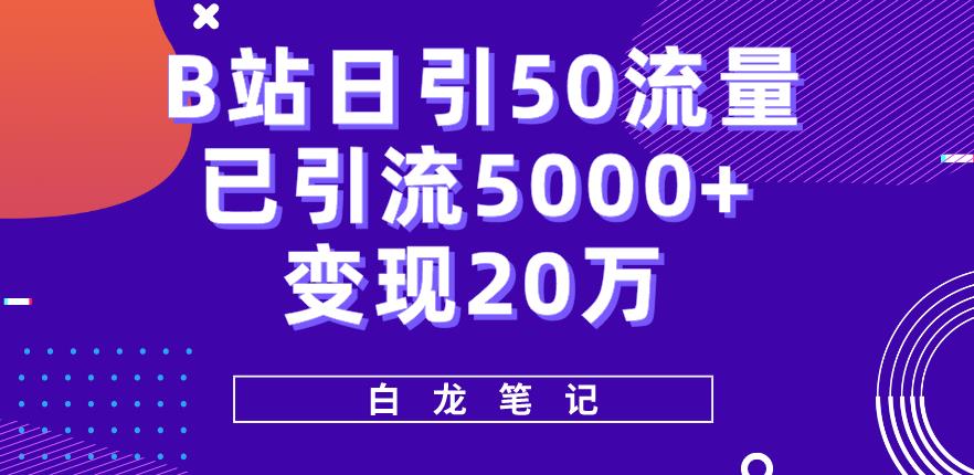 B站日引50+流量，实战已引流5000+变现20万，超级实操课程-夜影资源