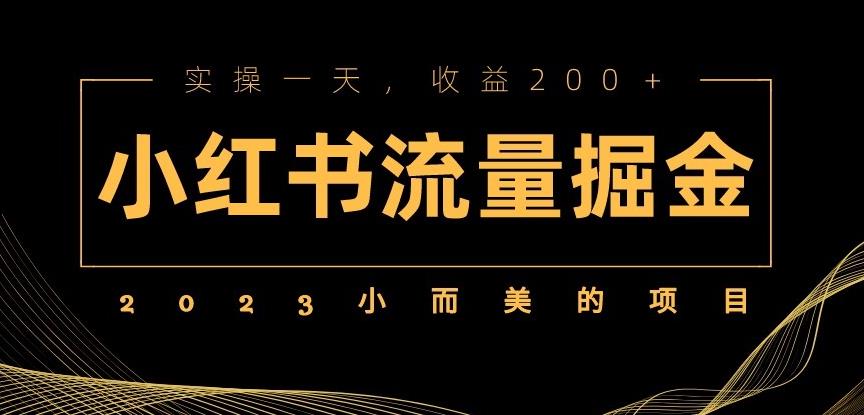 2023小而美的项目，小红书流量掘金，实操一天，收益200+【揭秘】-夜影资源