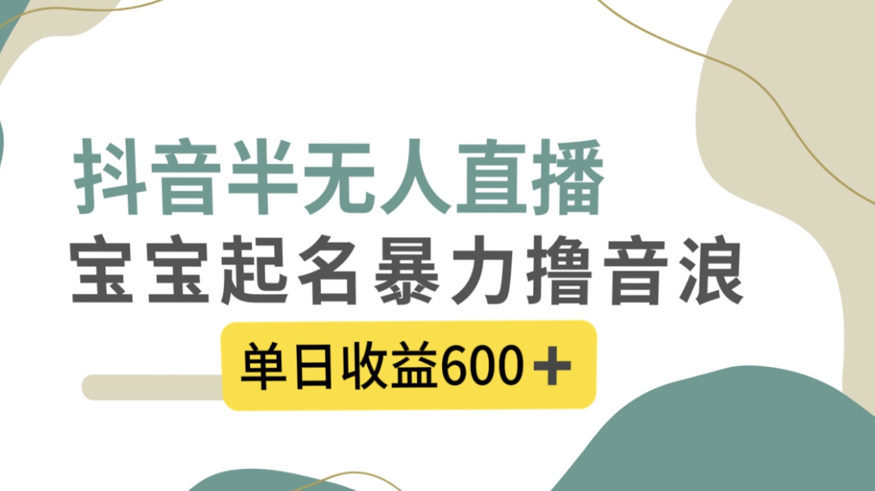 （8192期）抖音半无人直播，宝宝起名，暴力撸音浪，单日收益600+-夜影资源