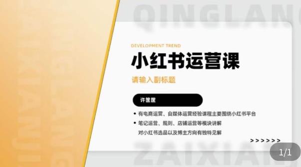 许筐筺·小红书运营课，​笔记运营、规则、店铺运营等模块讲解，学会自己独立运营小红书账号-夜影资源