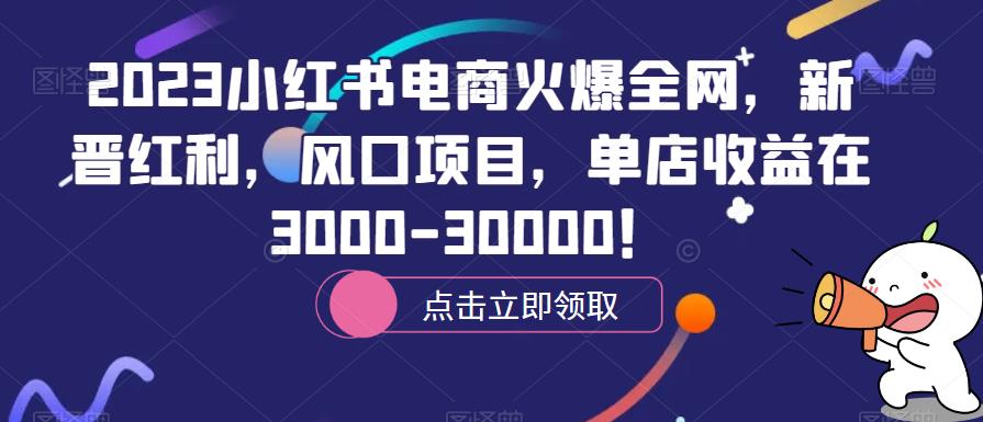 2023小红书电商火爆全网，新晋红利，风口项目，单店收益在3000-30000！-夜影资源